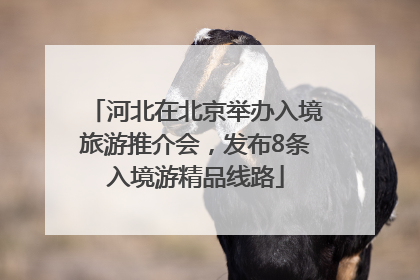 河北在北京举办入境旅游推介会，发布8条入境游精品线路