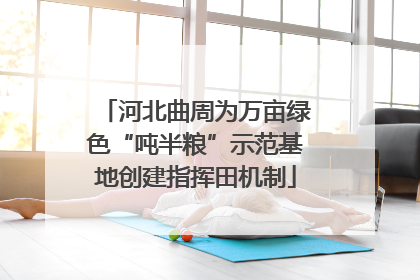 河北曲周为万亩绿色“吨半粮”示范基地创建指挥田机制