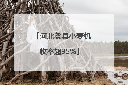 河北蠡县小麦机收率超95%