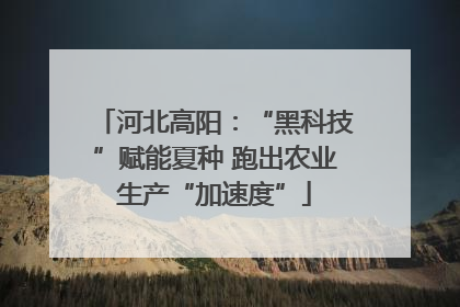 河北高阳：“黑科技”赋能夏种 跑出农业生产“加速度”