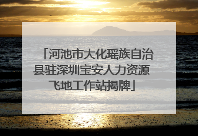 河池市大化瑶族自治县驻深圳宝安人力资源飞地工作站揭牌