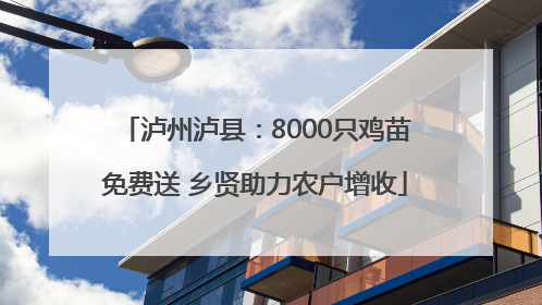 泸州泸县：8000只鸡苗免费送 乡贤助力农户增收