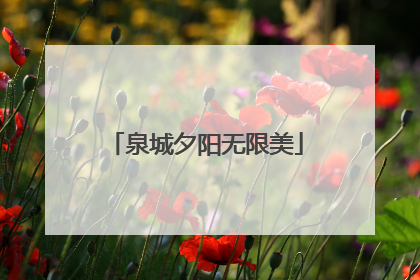 泉城夕阳无限美