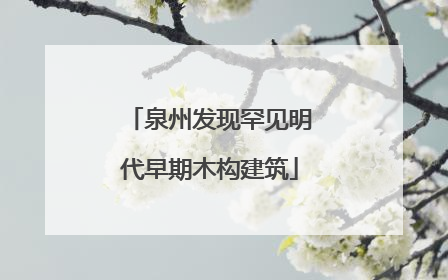 泉州发现罕见明代早期木构建筑
