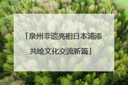 泉州非遗亮相日本浦添 共绘文化交流新篇
