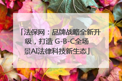 法保网：品牌战略全新升级，打造 G-B-C全场景AI法律科技新生态