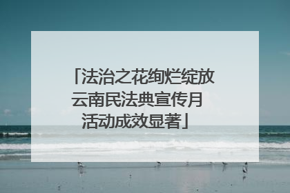 法治之花绚烂绽放 云南民法典宣传月活动成效显著