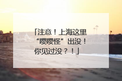 注意！上海这里“嘤嘤怪”出没！你见过没？！