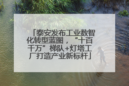 泰安发布工业数智化转型蓝图，“十百千万”梯队+灯塔工厂打造产业新标杆