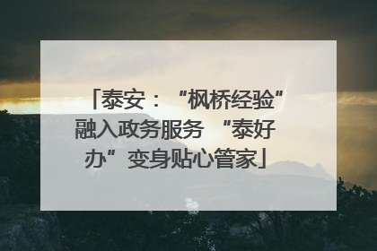 泰安：“枫桥经验”融入政务服务 “泰好办”变身贴心管家