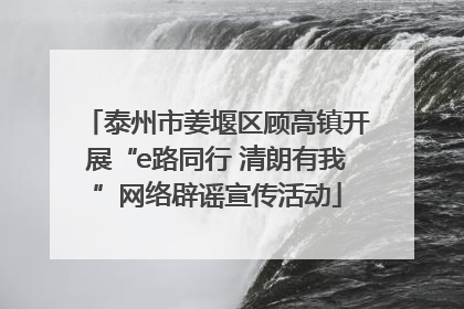泰州市姜堰区顾高镇开展“e路同行 清朗有我”网络辟谣宣传活动