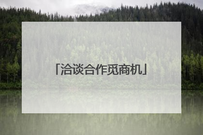 洽谈合作觅商机