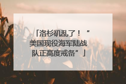 洛杉矶乱了！“美国现役海军陆战队正高度戒备”