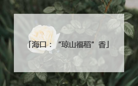 海口：“琼山福稻”香