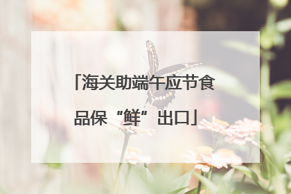 海关助端午应节食品保“鲜”出口