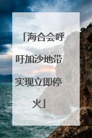 海合会呼吁加沙地带实现立即停火