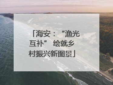 海安：“渔光互补” 绘就乡村振兴新图景