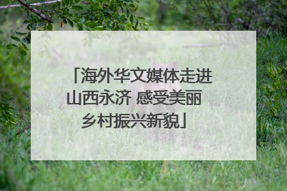 海外华文媒体走进山西永济 感受美丽乡村振兴新貌
