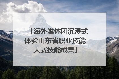 海外媒体团沉浸式体验山东省职业技能大赛技能成果