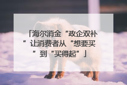海尔消金“政企双补”让消费者从“想要买”到“买得起”