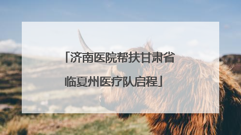 济南医院帮扶甘肃省临夏州医疗队启程