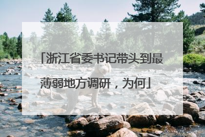 浙江省委书记带头到最薄弱地方调研，为何
