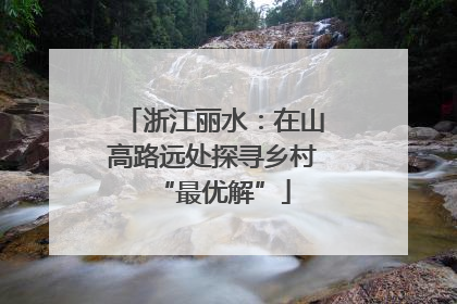 浙江丽水：在山高路远处探寻乡村“最优解”