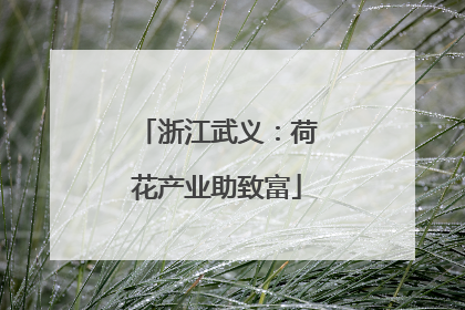 浙江武义：荷花产业助致富