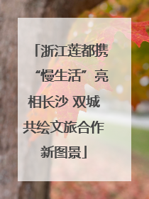 浙江莲都携“慢生活”亮相长沙 双城共绘文旅合作新图景