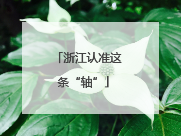 浙江认准这条“轴”