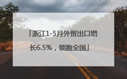 浙江1-5月外贸出口增长6.5%，领跑全国
