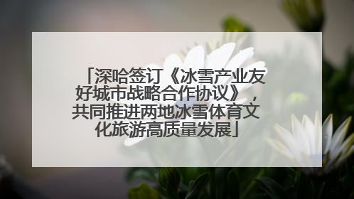 深哈签订《冰雪产业友好城市战略合作协议》，共同推进两地冰雪体育文化旅游高质量发展