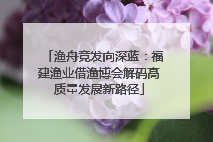 渔舟竞发向深蓝：福建渔业借渔博会解码高质量发展新路径