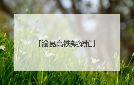 渝昆高铁架梁忙