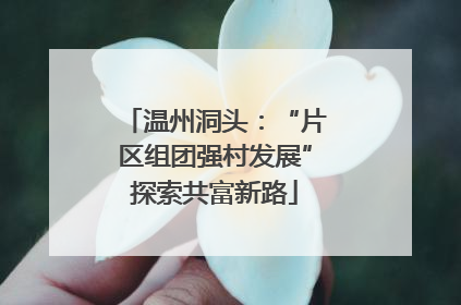 温州洞头：“片区组团强村发展”探索共富新路