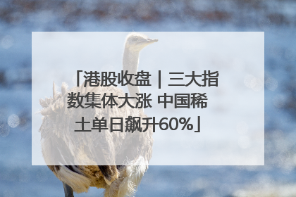 港股收盘｜三大指数集体大涨 中国稀土单日飙升60%