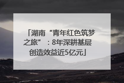 湖南“青年红色筑梦之旅”：8年深耕基层创造效益近5亿元
