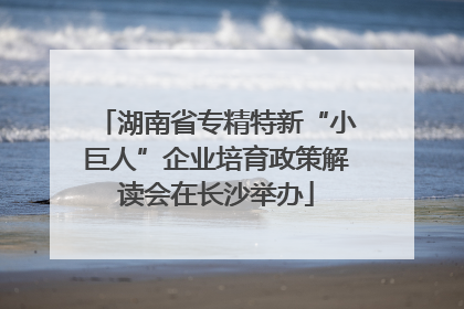 湖南省专精特新“小巨人”企业培育政策解读会在长沙举办