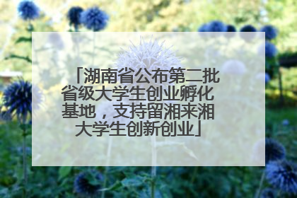 湖南省公布第二批省级大学生创业孵化基地，支持留湘来湘大学生创新创业