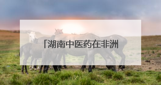 湖南中医药在非洲③｜跨越山海，中医药文化浸润非洲