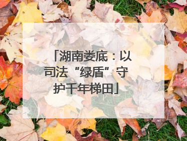 湖南娄底：以司法“绿盾”守护千年梯田