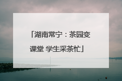 湖南常宁：茶园变课堂 学生采茶忙