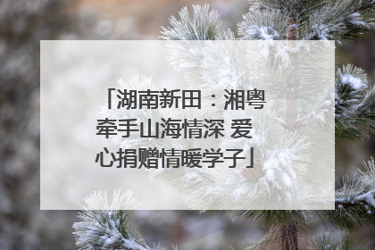 湖南新田：湘粤牵手山海情深 爱心捐赠情暖学子