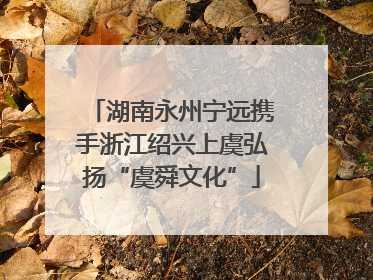 湖南永州宁远携手浙江绍兴上虞弘扬“虞舜文化”