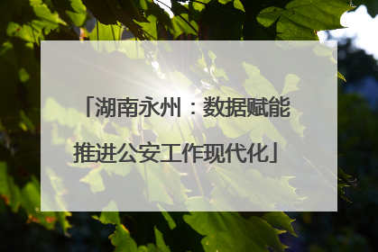湖南永州：数据赋能推进公安工作现代化