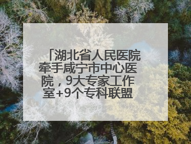 湖北省人民医院牵手咸宁市中心医院，9大专家工作室+9个专科联盟筑牢区域医疗网