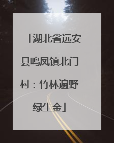 湖北省远安县鸣凤镇北门村：竹林遍野绿生金