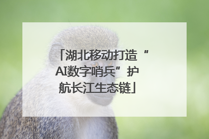 湖北移动打造“AI数字哨兵”护航长江生态链