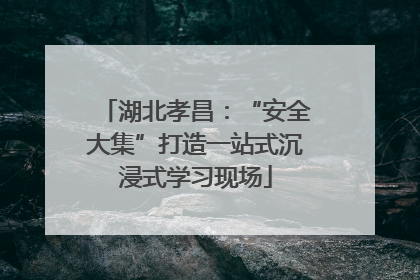 湖北孝昌：“安全大集”打造一站式沉浸式学习现场