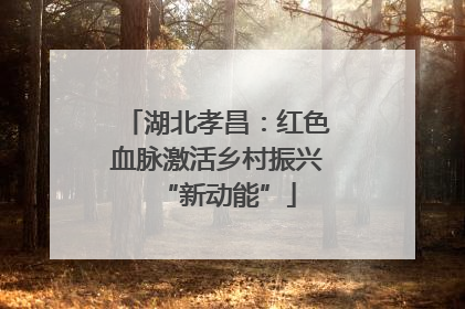 湖北孝昌：红色血脉激活乡村振兴“新动能”